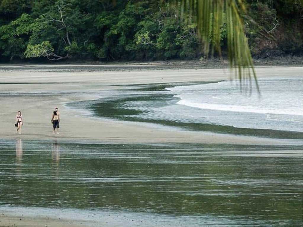Sustainable Real Estate in Playa Venao